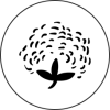 icon co