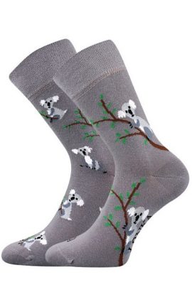 Bunte Spcken mit Koala